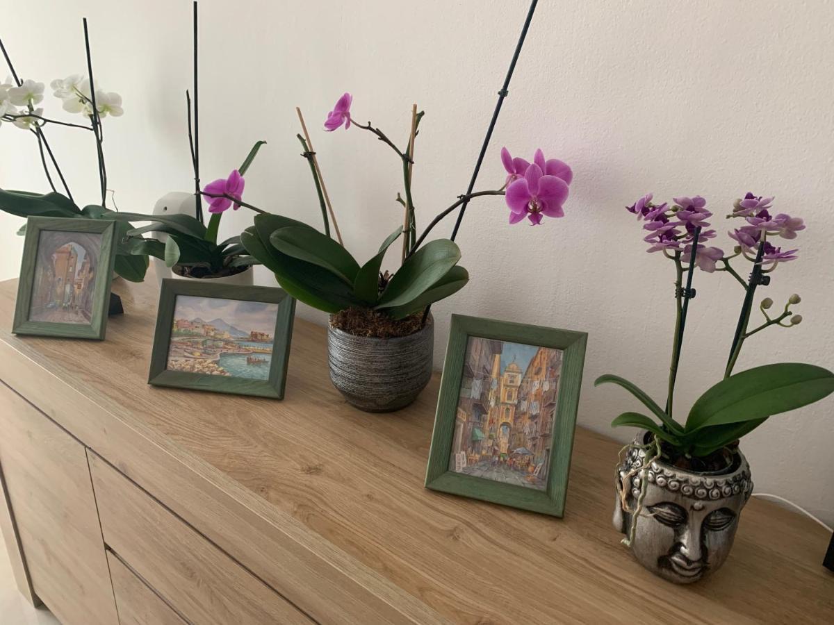 Apartment Al Capitello